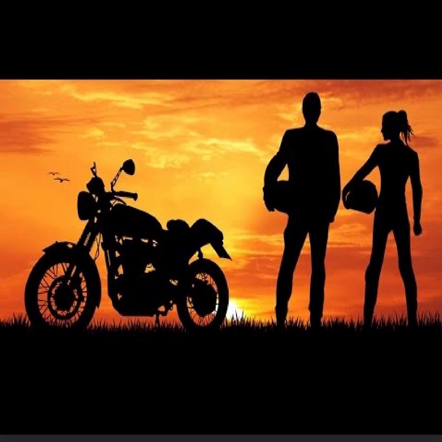 Auto, Motorcycle & Powersport Themed Apparel, and Accessories